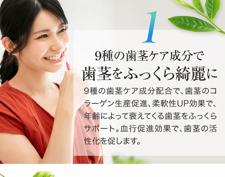 1.歯茎をふっくら綺麗に
