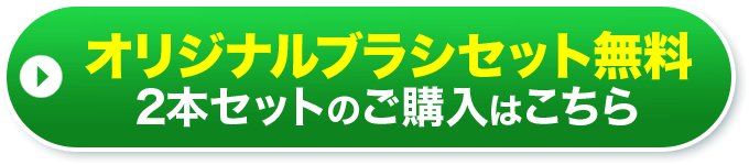 オリジナルブラシセット無料 2本セットのご購入はこちら
