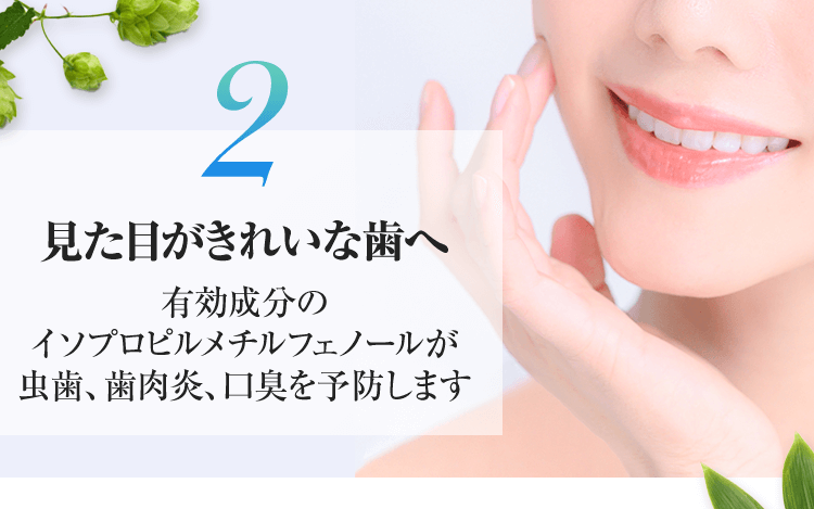 2.虫歯や歯周病をケア