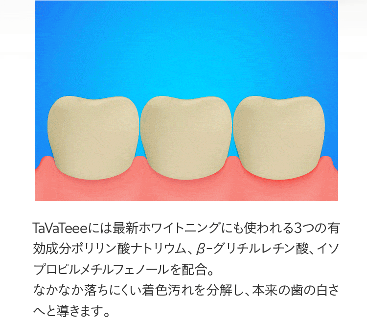 TaVaTeeeには最新ホワイトニングにも使われる3つの有効成分ポリリン酸ナトリウム、β-グリチルレチン酸、イソプロピルメチルフェノールを配合。なかなか落ちにくい着色汚れを分解し、本来の歯の白さへと導きます。