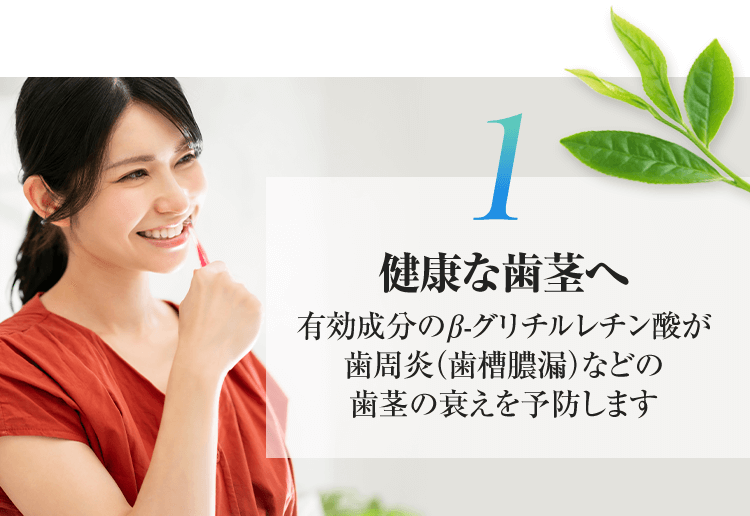 1.健康な歯茎へ