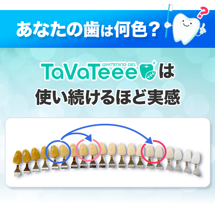 あなたの歯は何色？