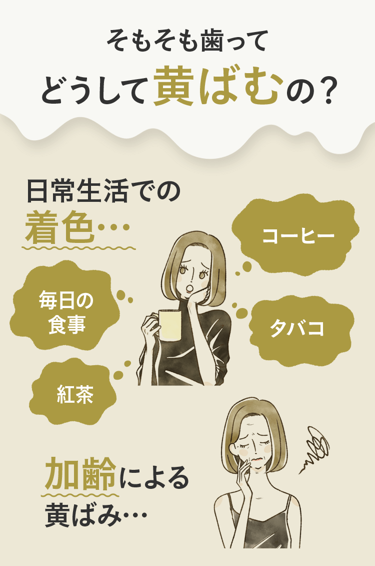 そもそも歯ってどうして黄ばむの?