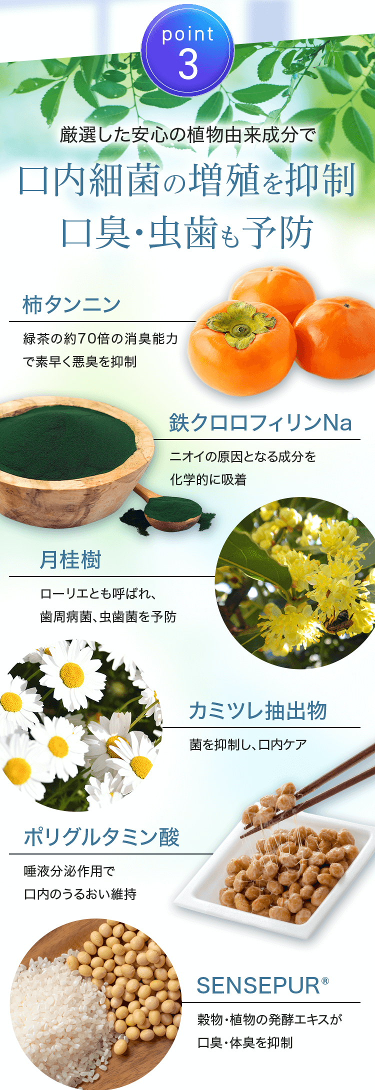 Point.3 口内細菌の増殖を抑制 口臭・虫歯も予防