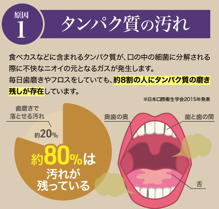 原因.1 タンパク質の汚れ