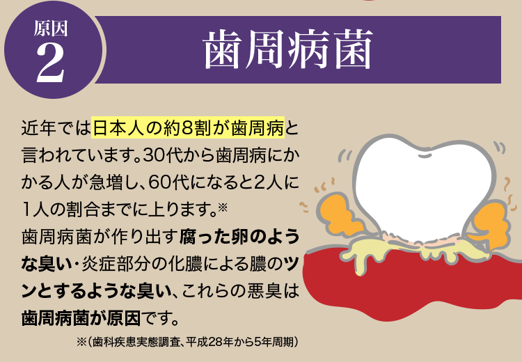 原因.2 歯周病菌