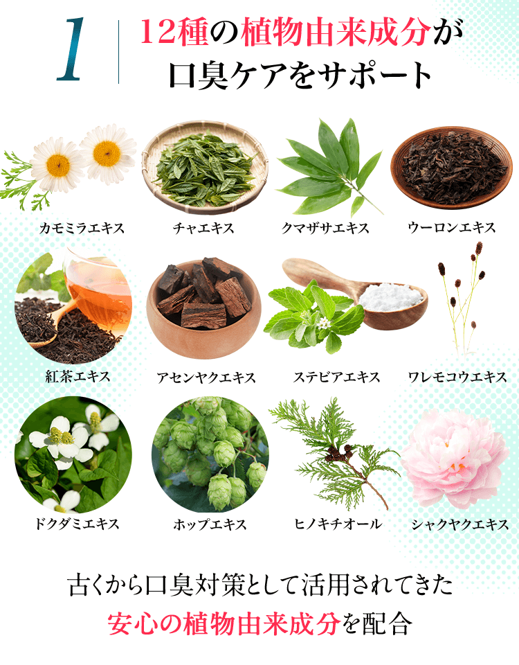 1. 12種の植物由来成分が口臭ケアをサポート